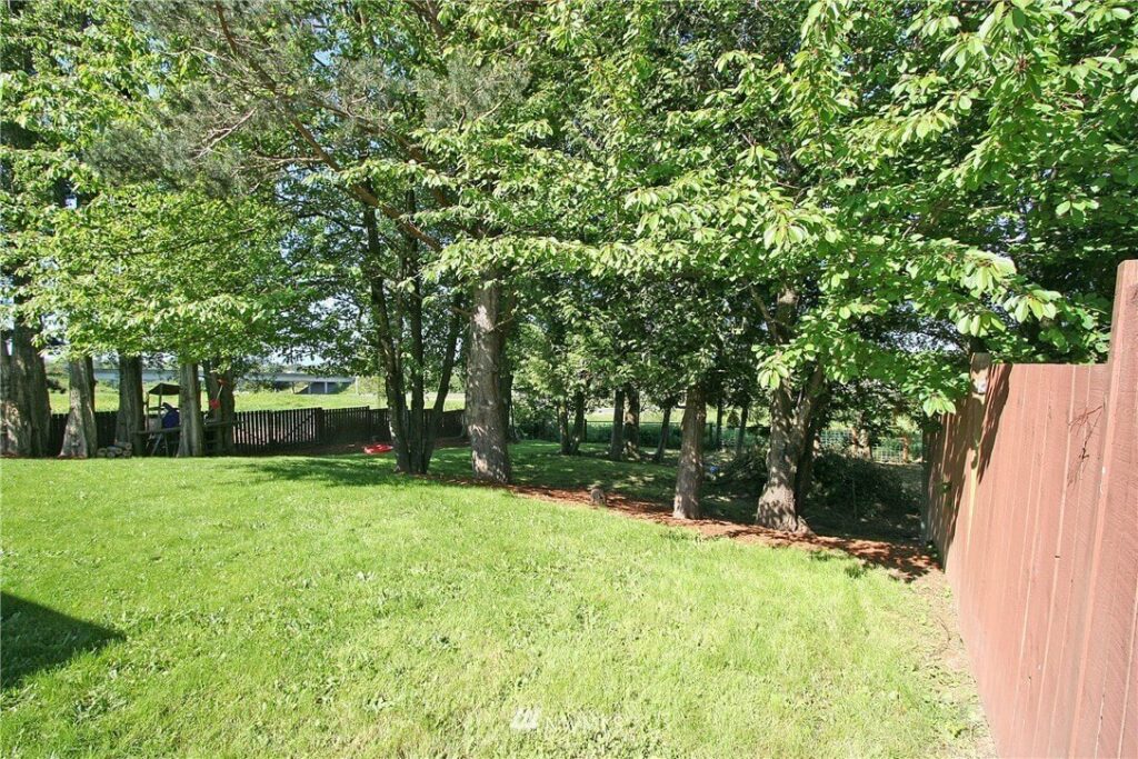 smoochies for poochies back yard for doggie daycare access to indoor outdoor play areas