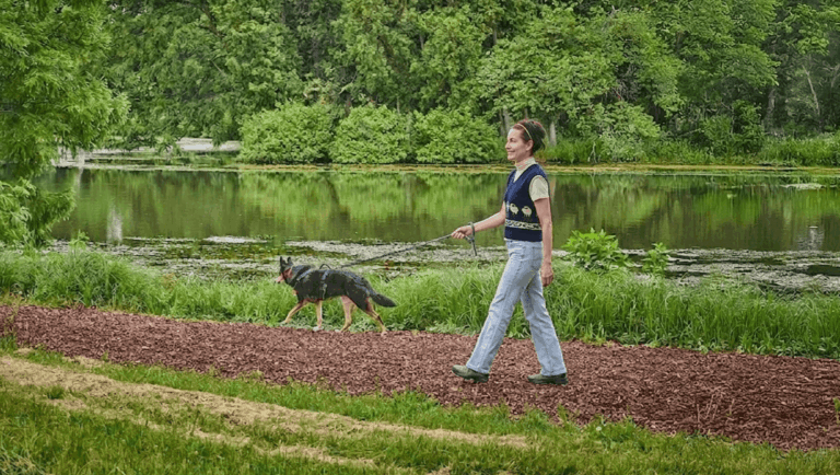smoochies for poochies walking dog around Lake Padden or Fragrance Lake or Vanderyacht Park on a leash